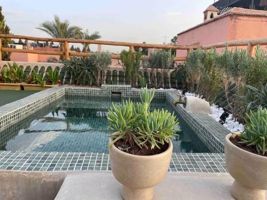 Riad Ptit Kech, Bassin Terrasse - Petits Dejeuners Маракеш Екстериор снимка